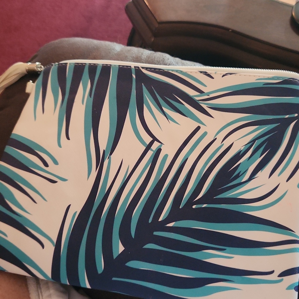 Ladies clutch purse. With free earrings